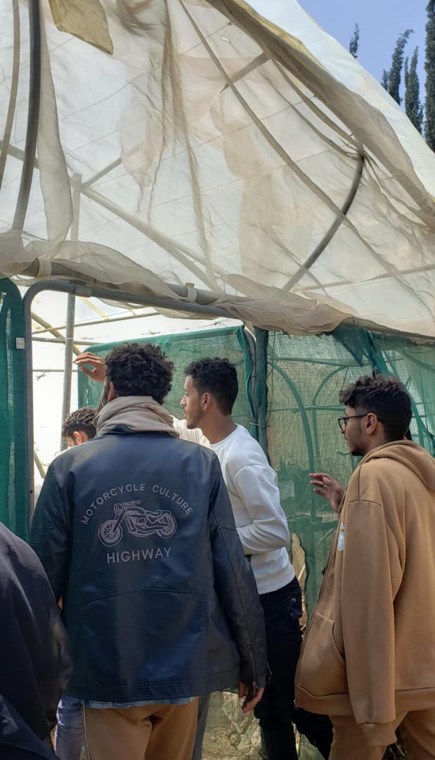 طلاب قسم البستنة ينفذون نشاطًا تطبيقيًا للتعرّف على نباتات الزينة ومكونات المشتل الزراعي